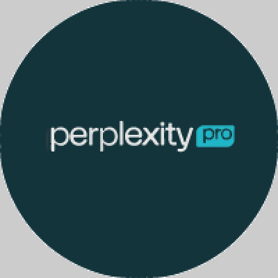 Perplexity